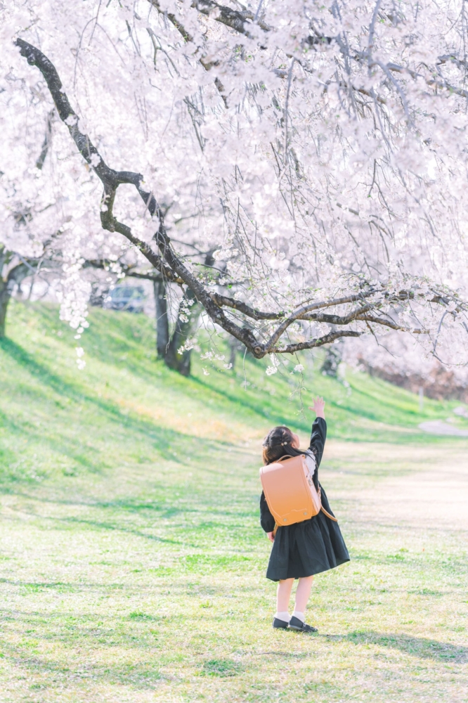 桜 入学写真 ロケーションフォト 出張撮影カメラマン １３８タワーパーク 愛知 一宮