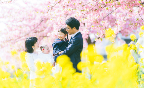 西古瀬川 西古瀬川の河津桜 河津桜 入学 入園 ランドセル　愛知　名古屋　ロケーション撮影　出張撮影 カメラマン