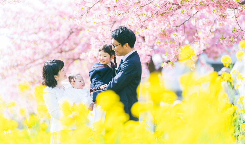 西古瀬川 西古瀬川の河津桜 河津桜 入学 入園 ランドセル　愛知　名古屋　ロケーション撮影　出張撮影 カメラマン