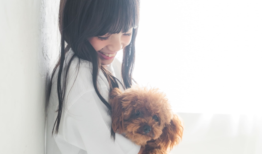 愛知 名古屋 出張撮影 ロケーションフォト　カメラマン ペット　犬　わんちゃん　フォトスタジオ