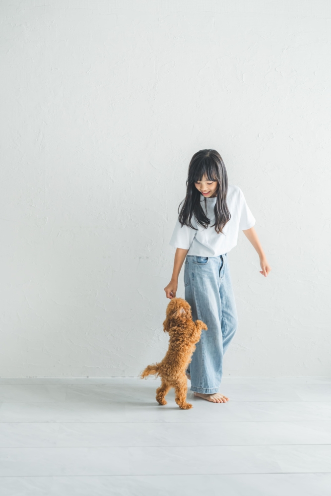 愛知 名古屋 出張撮影 ロケーションフォト　カメラマン ペット　犬　わんちゃん　フォトスタジオ