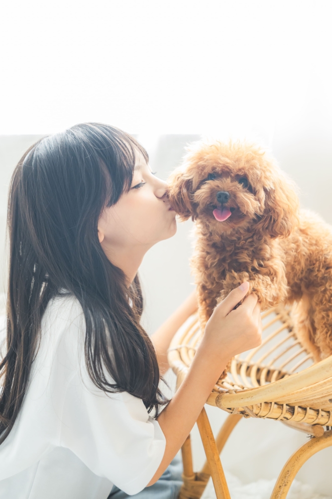愛知 名古屋 出張撮影 ロケーションフォト　カメラマン ペット　犬　わんちゃん　フォトスタジオ