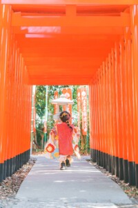 伊奴神社 七五三 お宮参り 愛知 名古屋 出張撮影 カメラマン 写真撮影