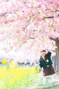 西古瀬川 西古瀬川の河津桜 河津桜 入学 入園 ランドセル　愛知　名古屋　ロケーション撮影　出張撮影 カメラマン