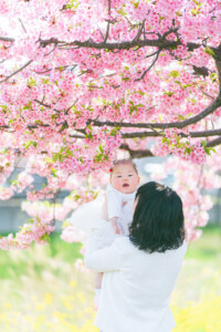 西古瀬川 西古瀬川の河津桜 河津桜 入学 入園 ランドセル　愛知　名古屋　ロケーション撮影　出張撮影 カメラマン
