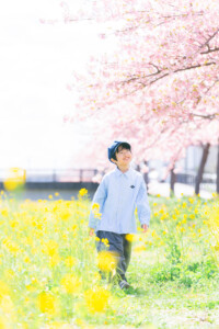 西古瀬川 西古瀬川の河津桜 河津桜 入学 入園 ランドセル　愛知　名古屋　ロケーション撮影　出張撮影 カメラマン
