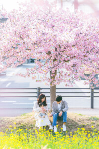 西古瀬川 西古瀬川の河津桜 河津桜 入学 入園 ランドセル　愛知　名古屋　ロケーション撮影　出張撮影 カメラマン