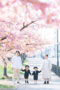 西古瀬川 西古瀬川の河津桜 河津桜 入学 入園 ランドセル　愛知　名古屋　ロケーション撮影　出張撮影 カメラマン