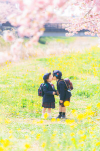西古瀬川 西古瀬川の河津桜 河津桜 入学 入園 ランドセル　愛知　名古屋　ロケーション撮影　出張撮影 カメラマン