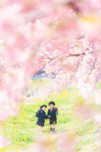 西古瀬川 西古瀬川の河津桜 河津桜 入学 入園 ランドセル　愛知　名古屋　ロケーション撮影　出張撮影 カメラマン